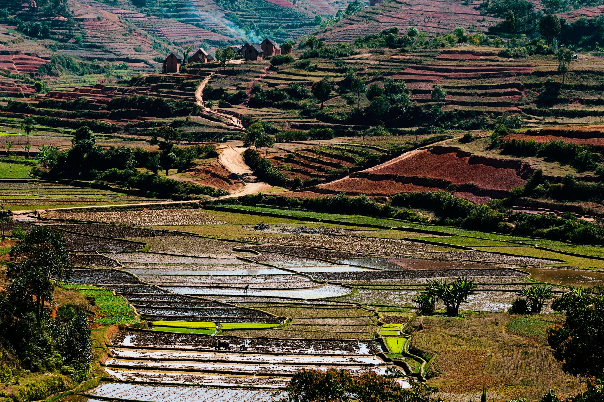 Madagascar - expeditie foto intr-o alta lume