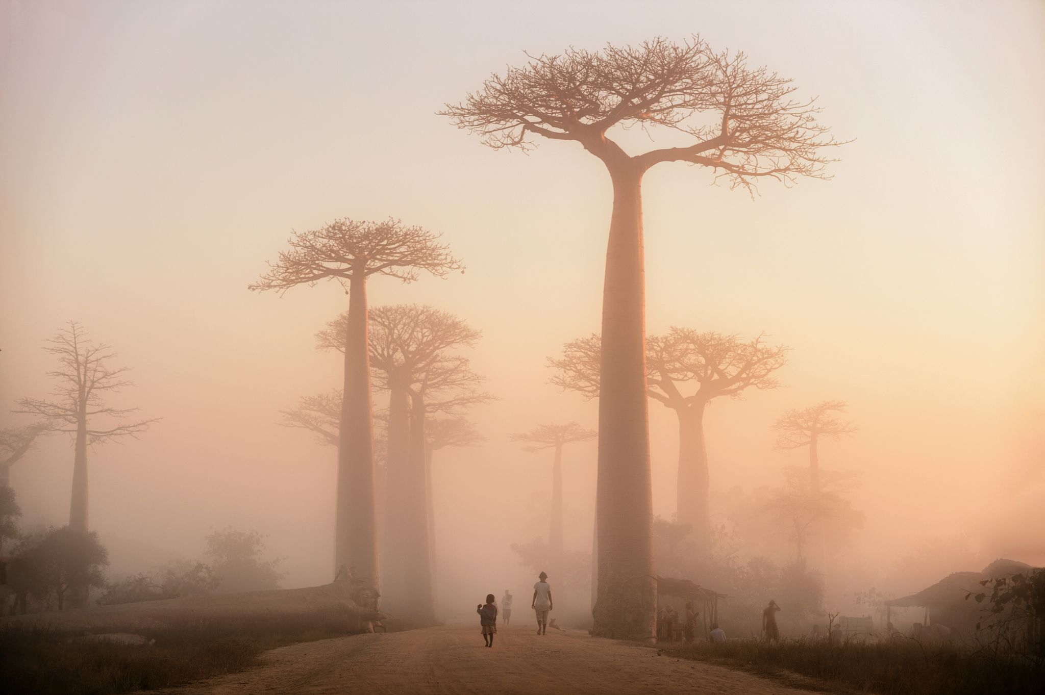 Madagascar - expeditie foto intr-o alta lume
