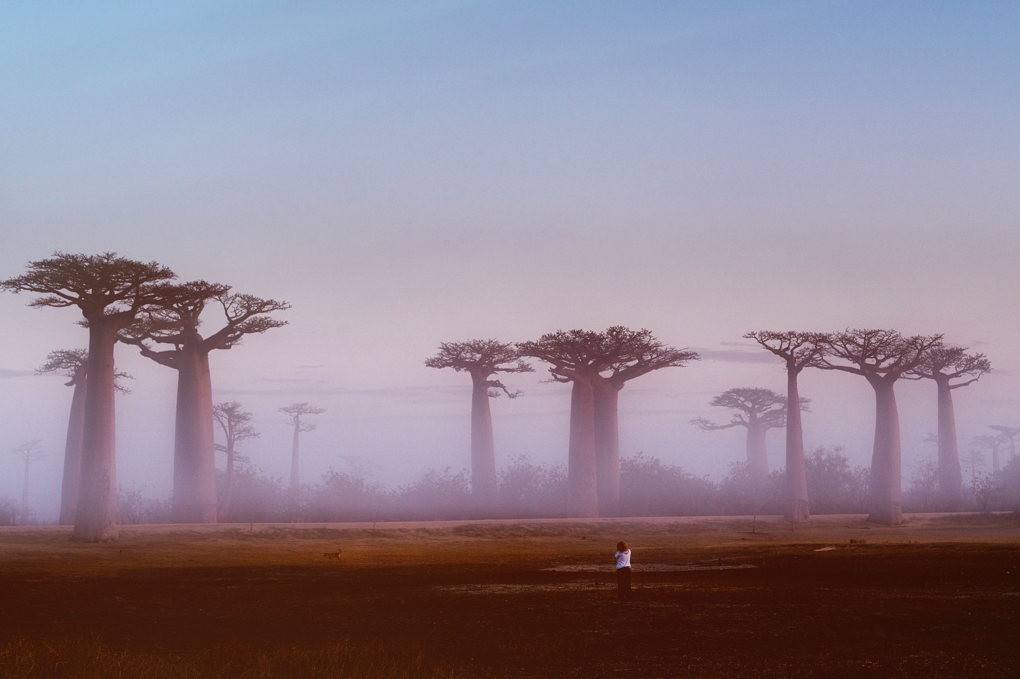 Madagascar - expeditie foto intr-o alta lume