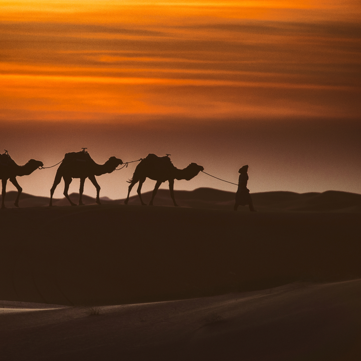 Magic Morocco - cu Gina Buliga si Bogdan Comanescu