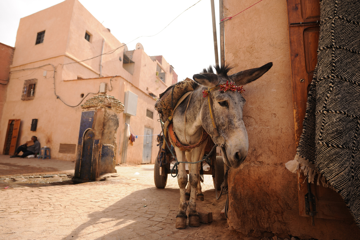 Our way în marea hoinăreală to Magic Morocco