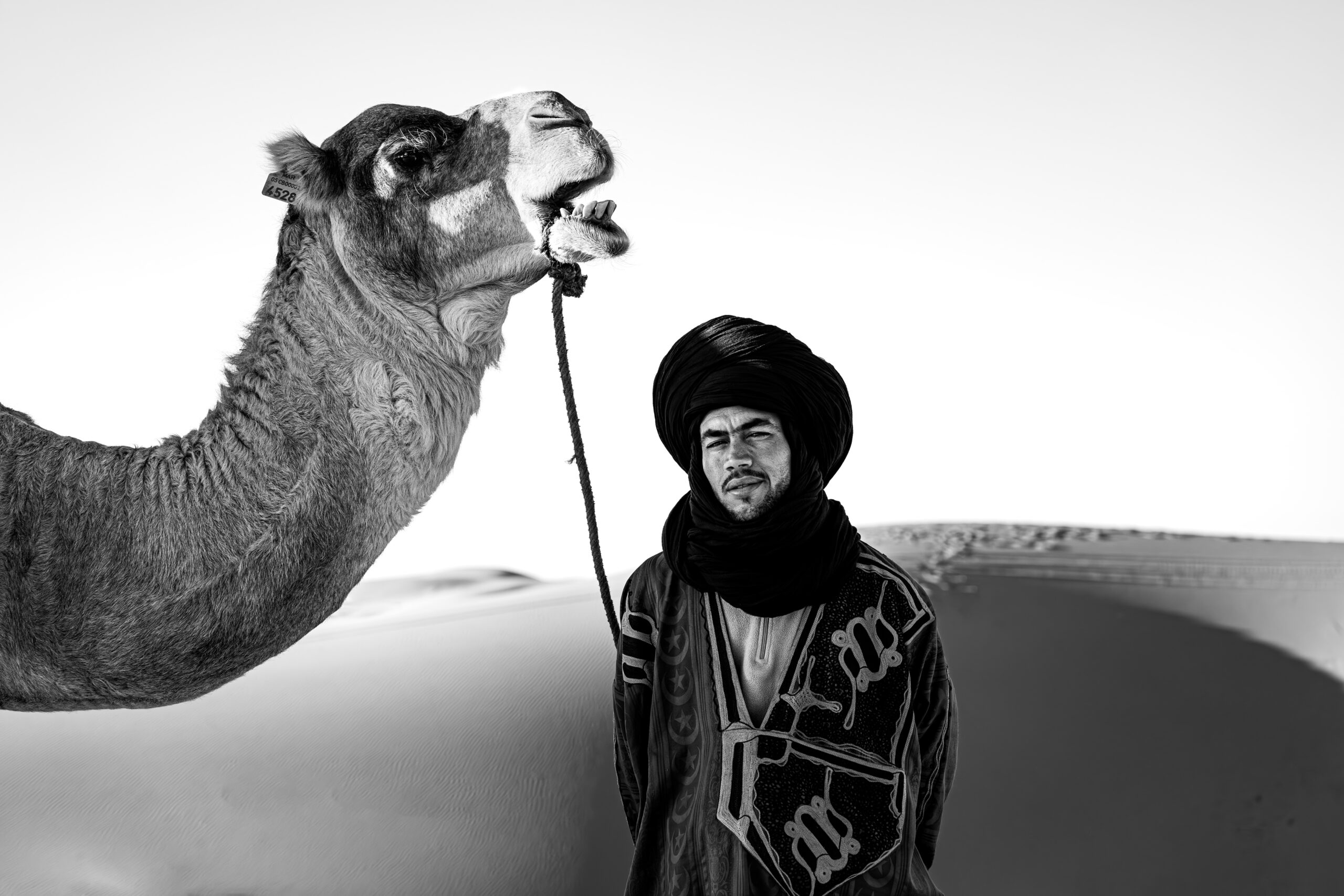 Our way în marea hoinăreală to Magic Morocco