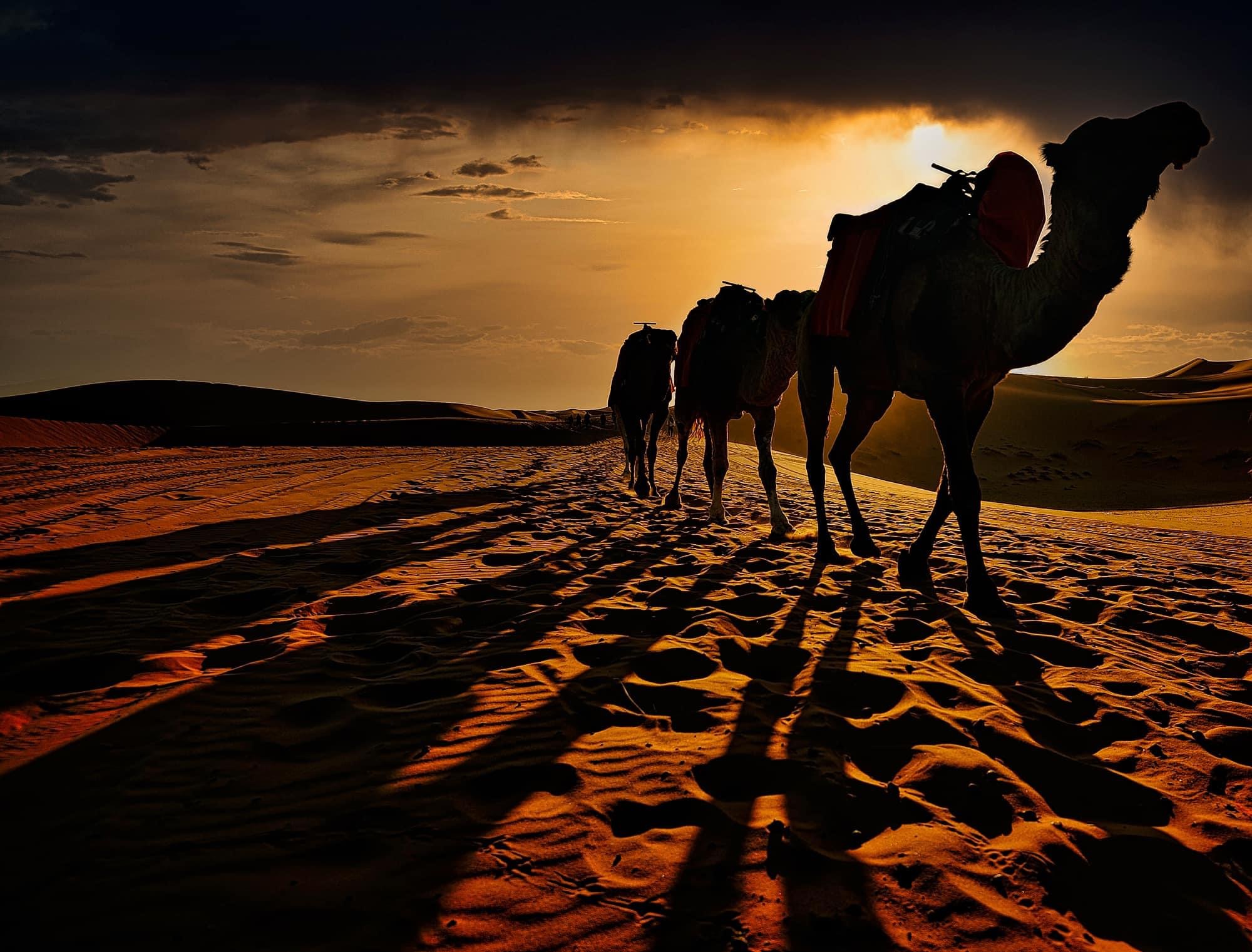 Our way în marea hoinăreală to Magic Morocco