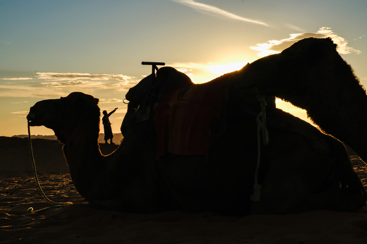 Our way to Morocco cu Gina Buliga și Sorin Onișor