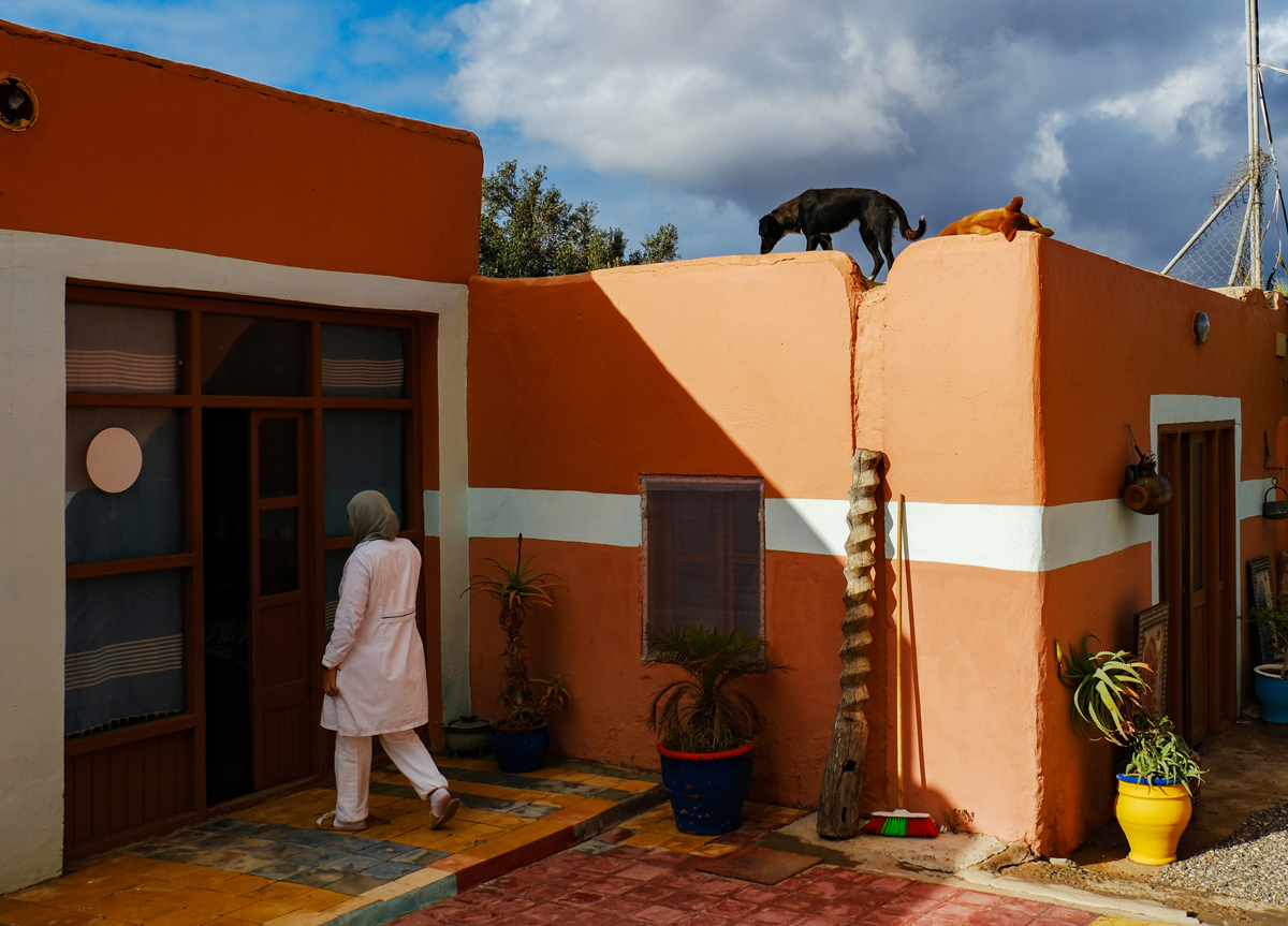 Our way to Morocco cu Gina Buliga și Sorin Onișor