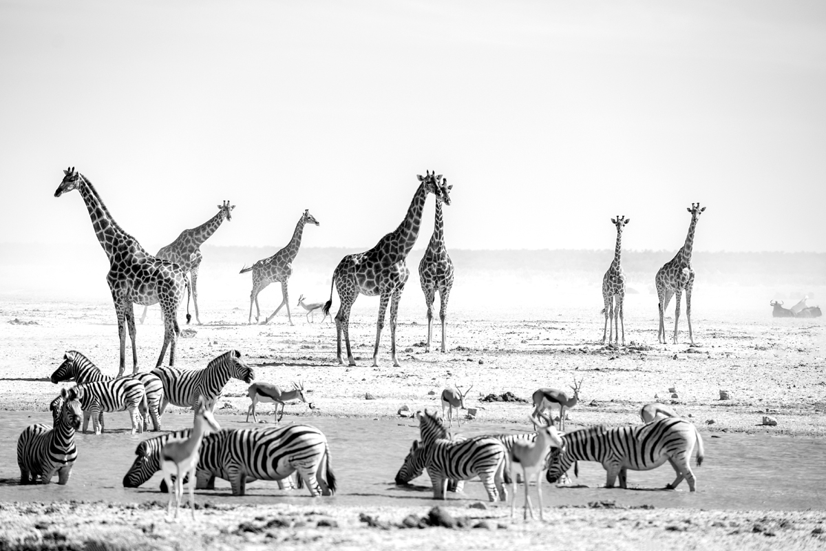 Our way to Namibia