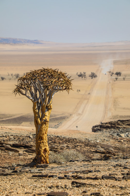 Our way to Namibia