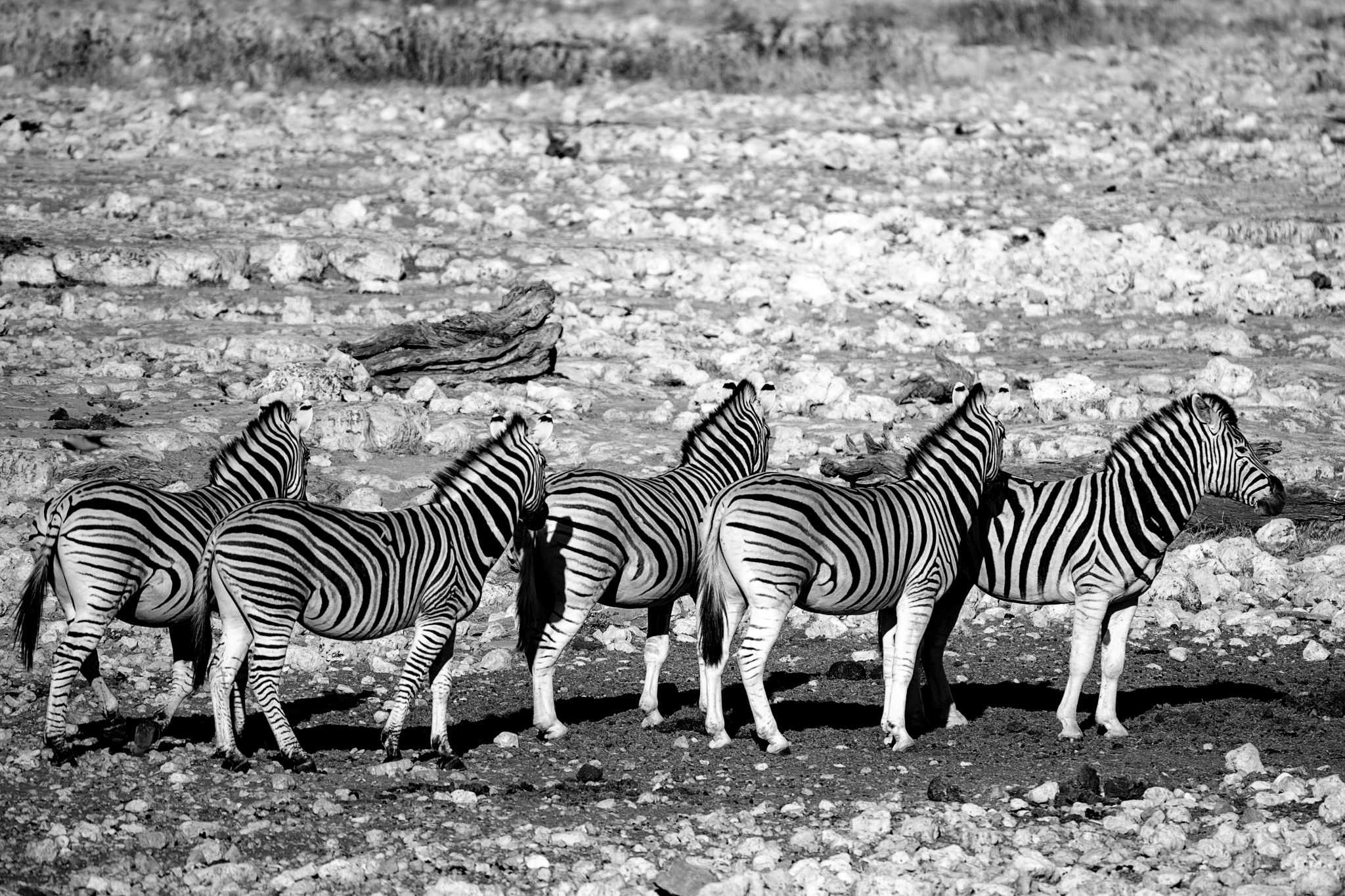 Our way to Namibia