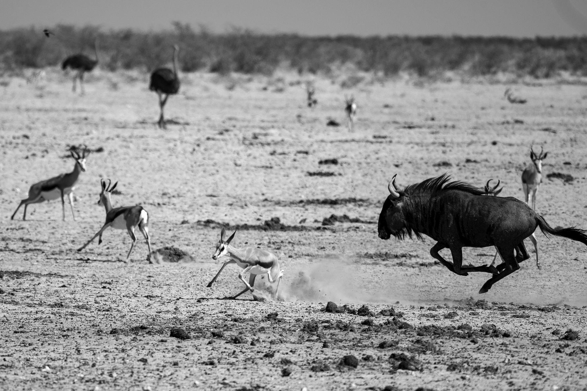 Our way to Namibia
