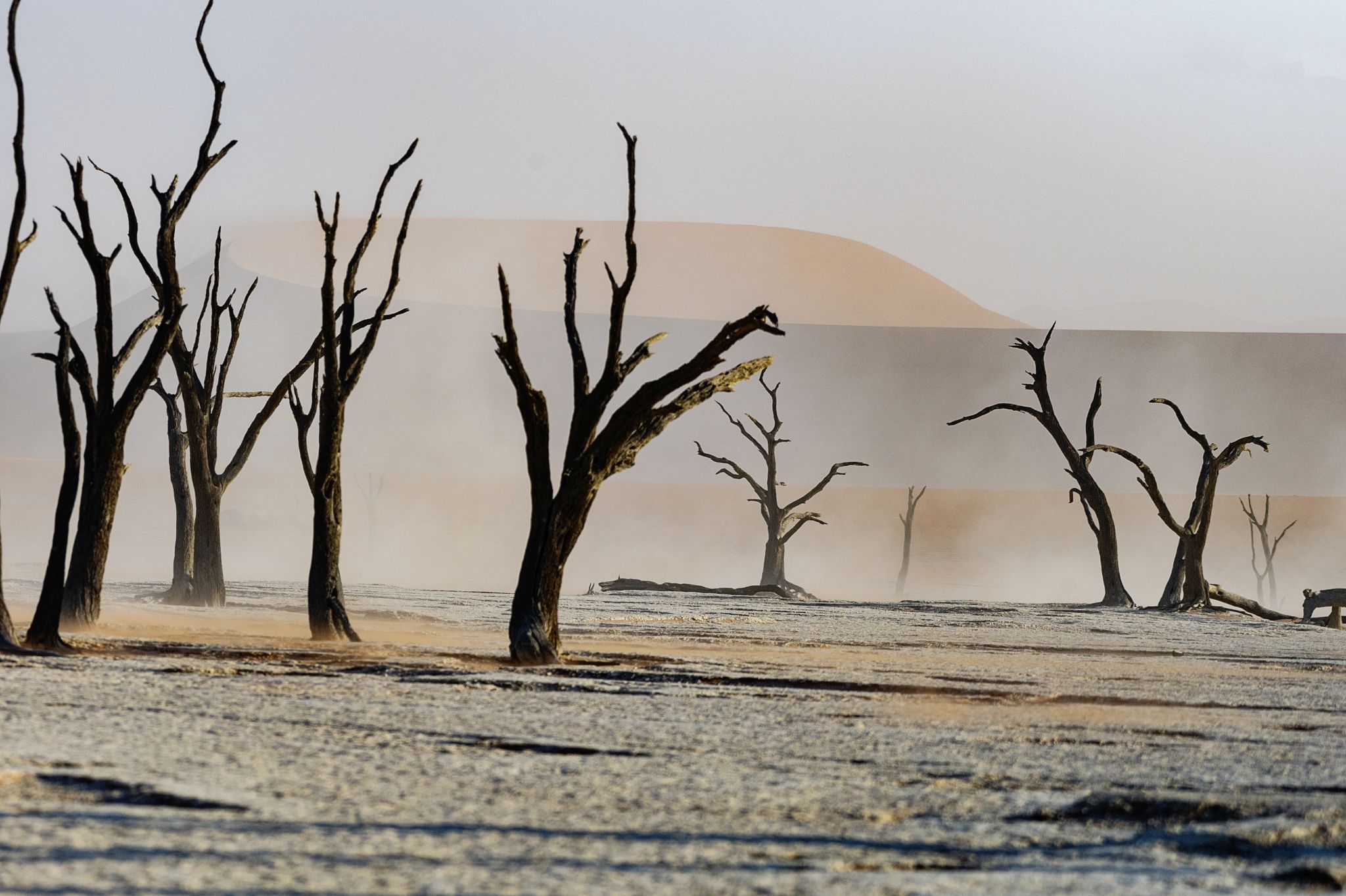Our way to Namibia