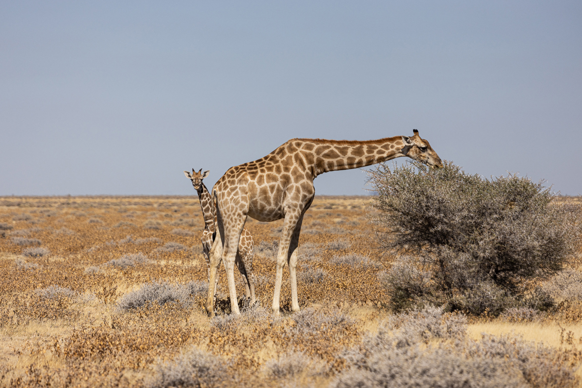 Our way to Namibia
