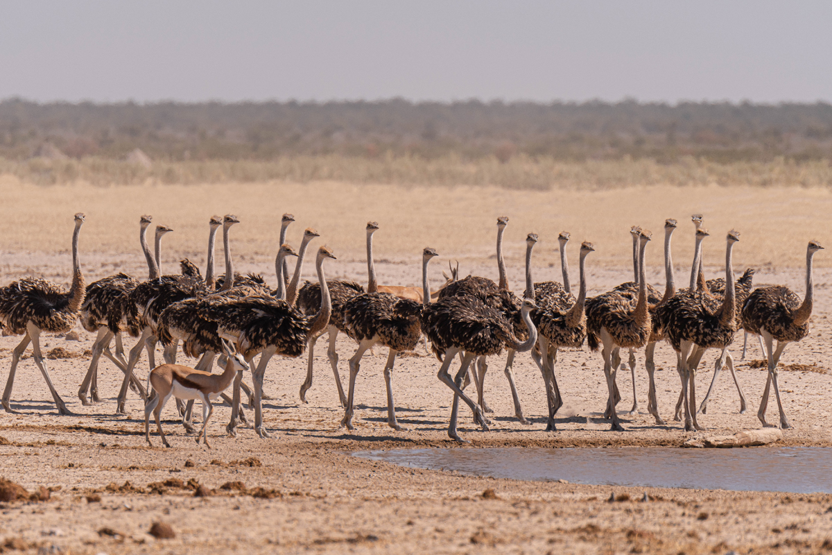 Our way to Namibia