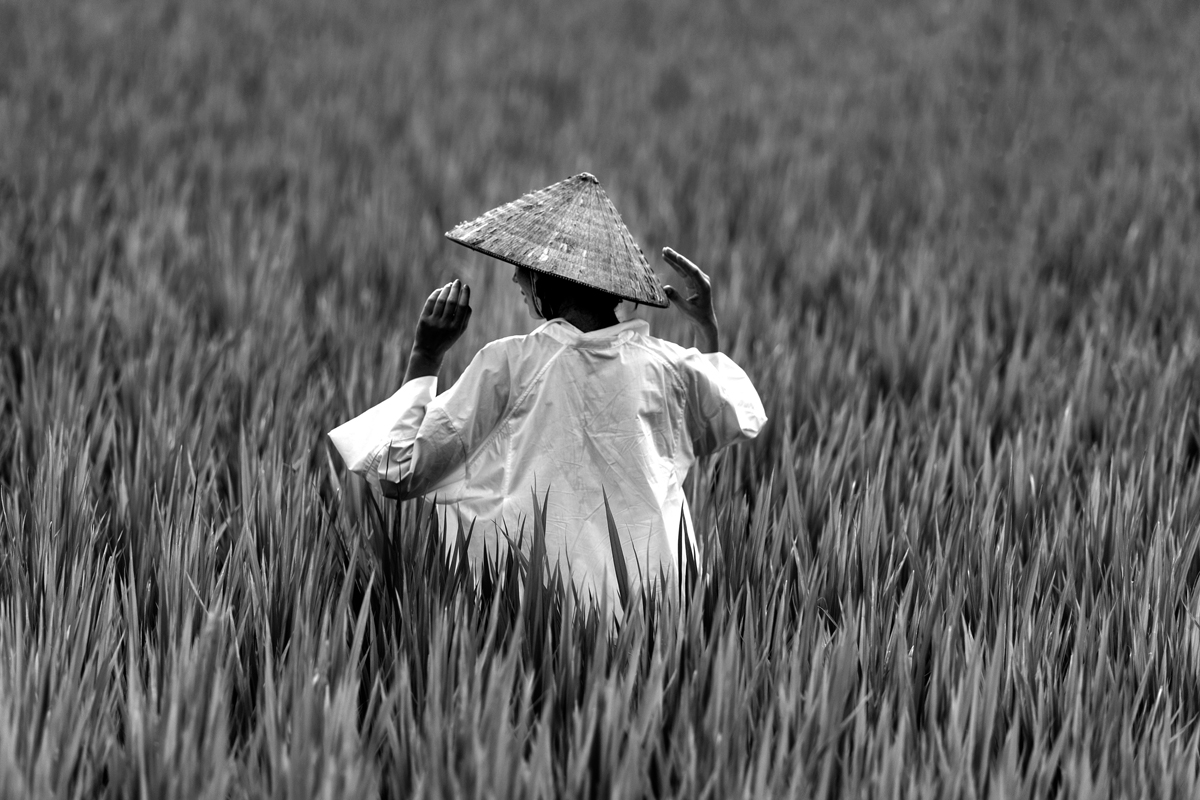 Our way to Vietnam