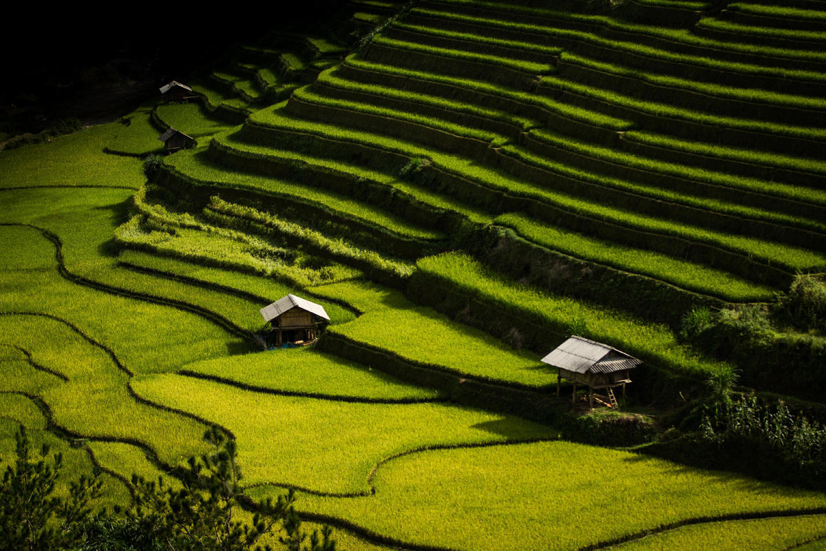 Our way to Vietnam
