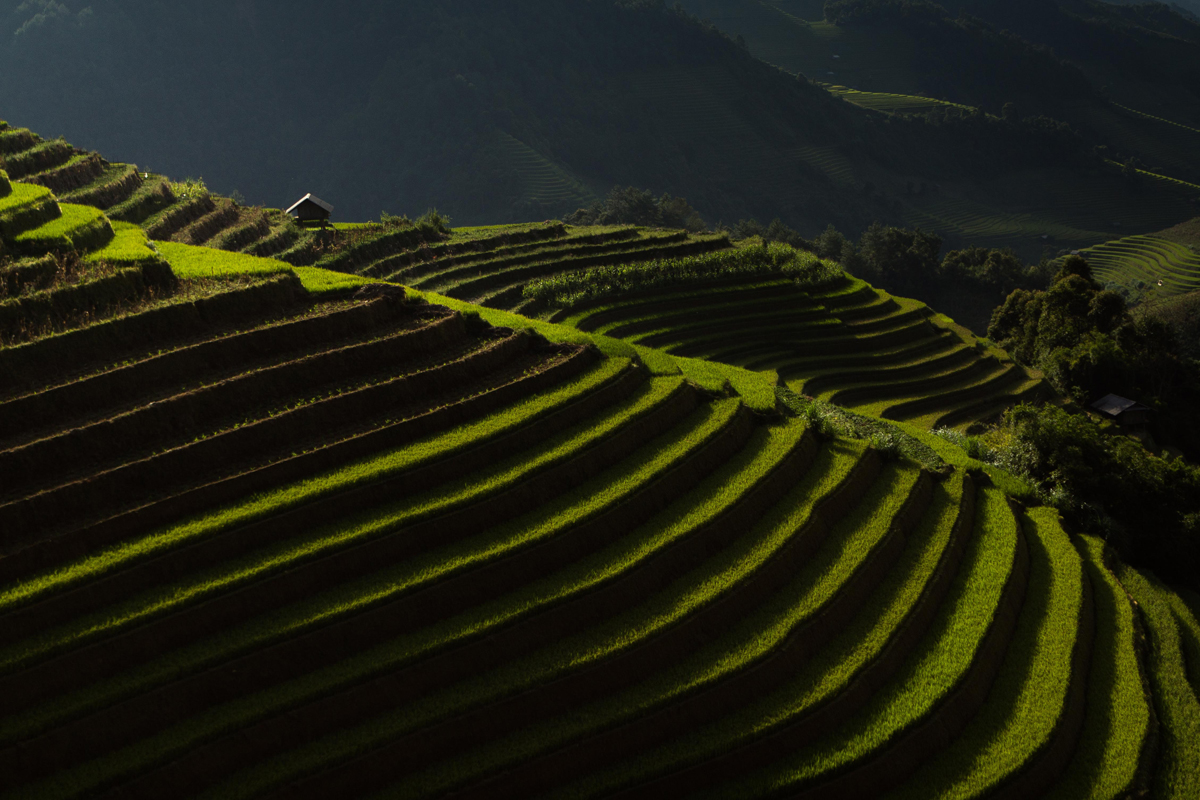 Our way to Vietnam