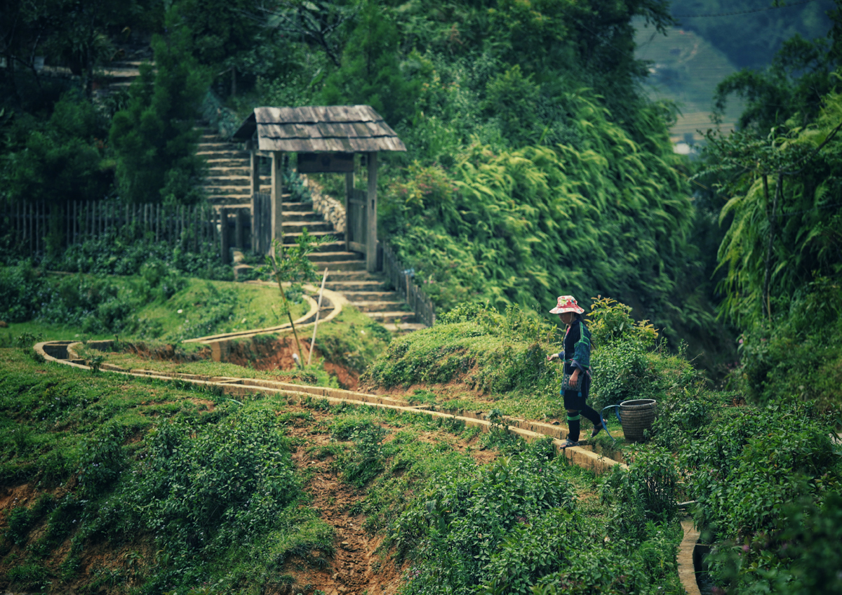 Our way to Vietnam
