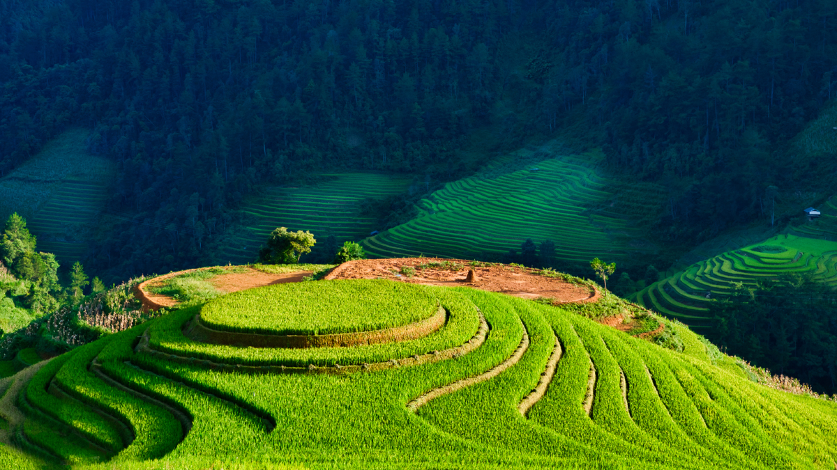 Our way to Vietnam